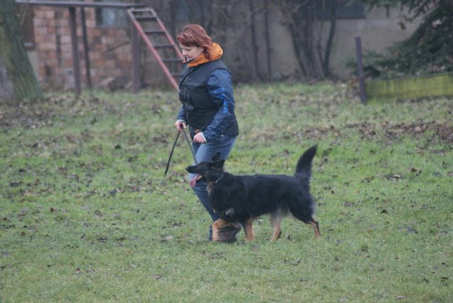 img00079.jpg