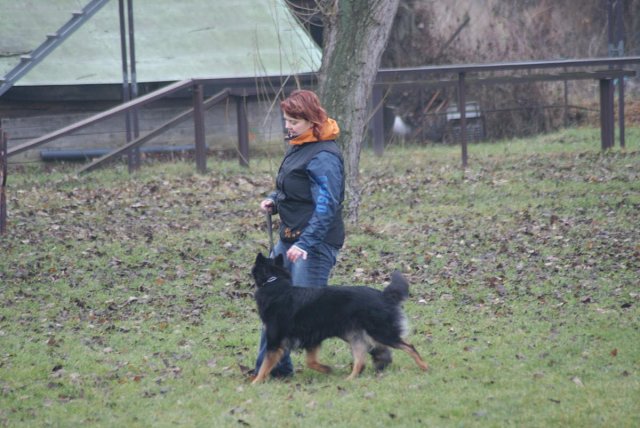 img00080.jpg