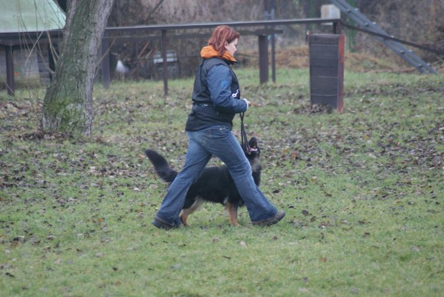 img00081.jpg