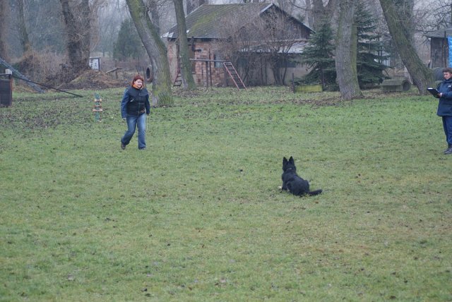 img00083.jpg