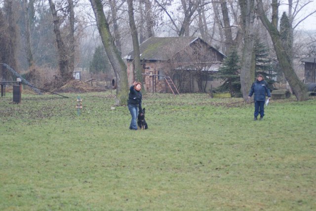 img00085.jpg