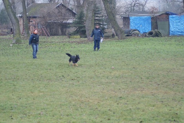 img00086.jpg