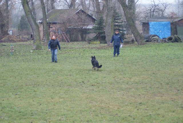 img00088.jpg
