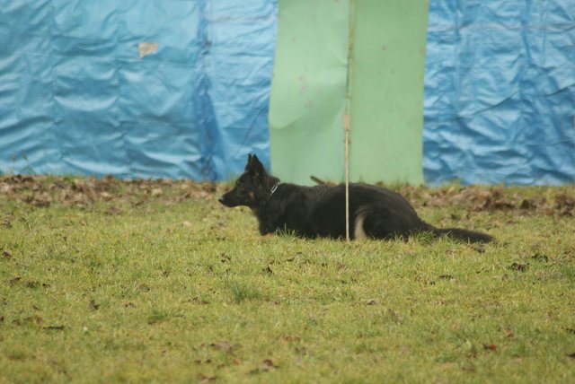 img00096.jpg