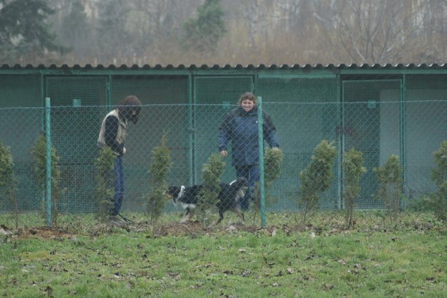 img00101.jpg