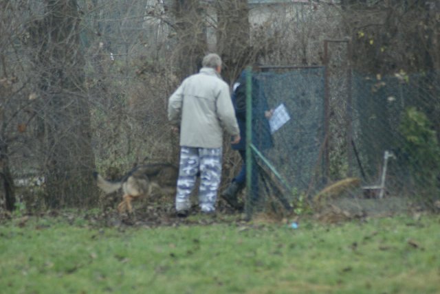 img00103.jpg