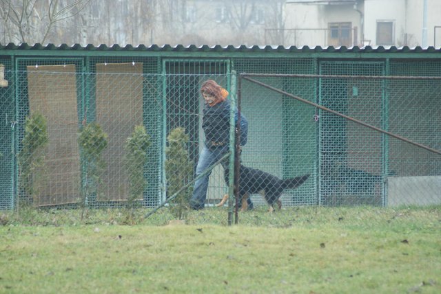 img00107.jpg