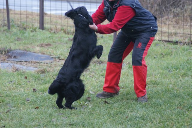 img00108.jpg