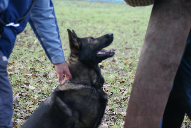 img00114.jpg