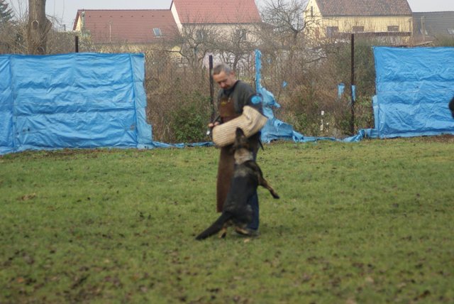img00119.jpg