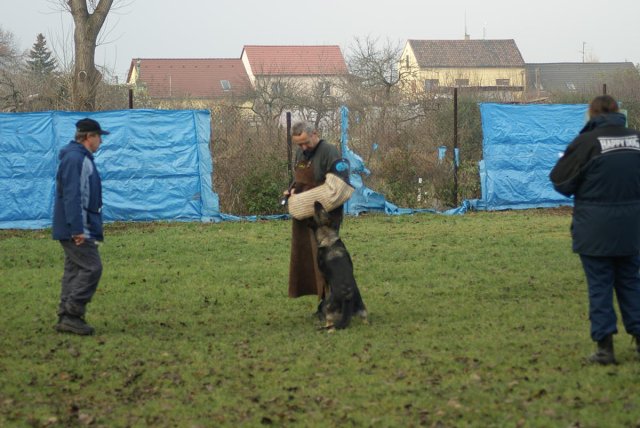 img00120.jpg