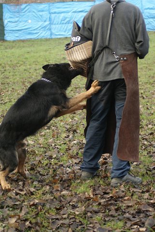 img00129.jpg