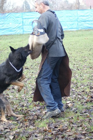img00130.jpg