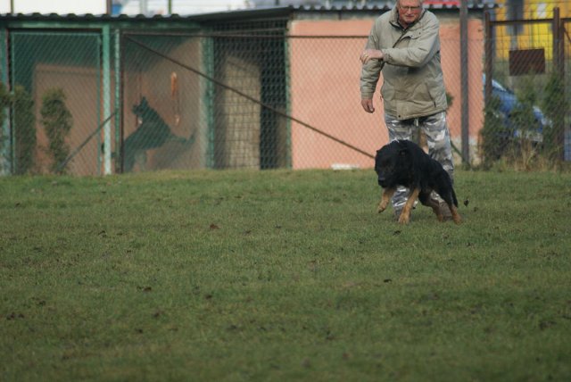 img00132.jpg