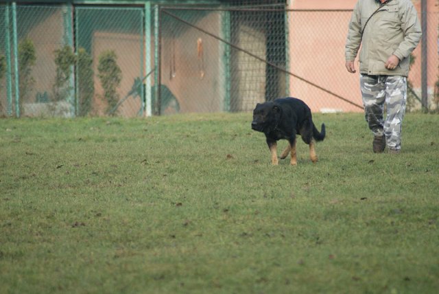 img00133.jpg