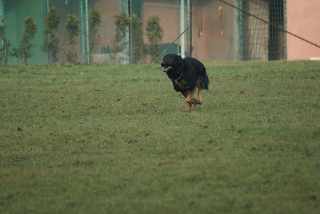 img00134.jpg