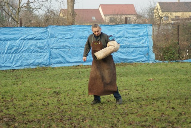 img00135.jpg