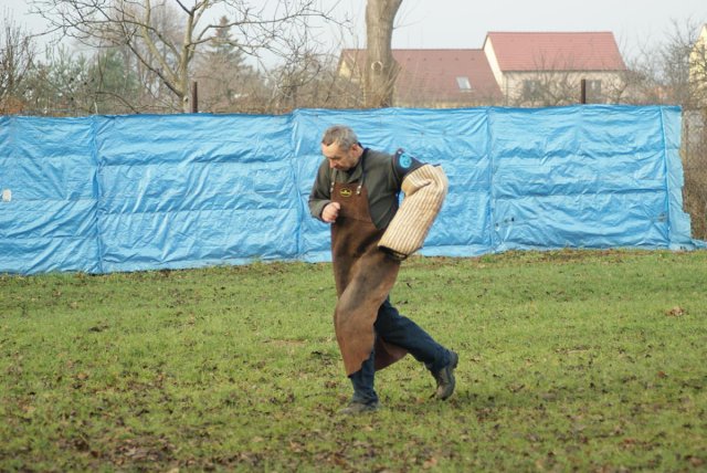 img00136.jpg