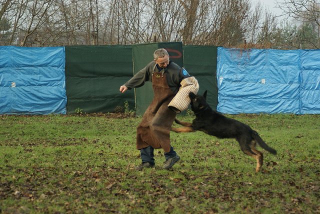 img00137.jpg