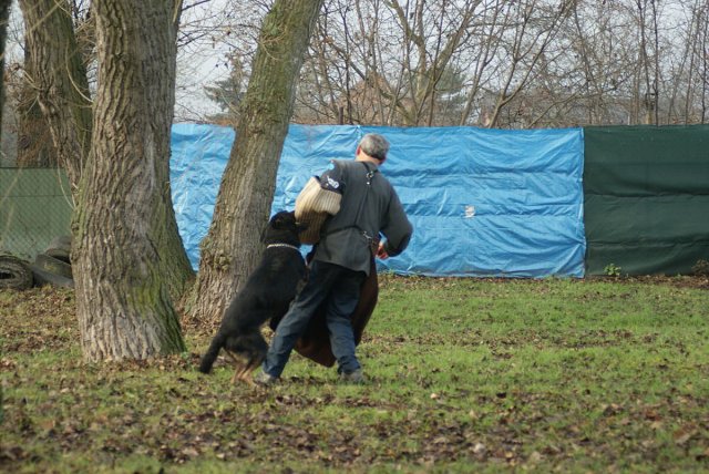 img00140.jpg