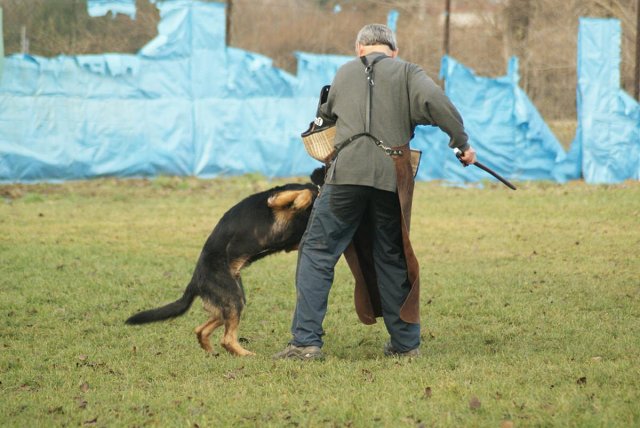 img00149.jpg