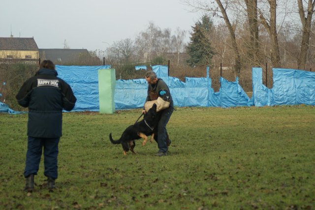 img00150.jpg