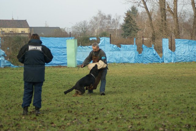 img00151.jpg