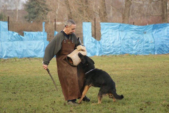 img00152.jpg