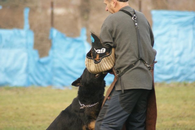 img00154.jpg