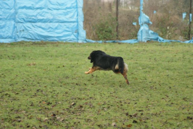 img00156.jpg