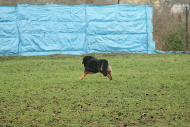 img00157.jpg