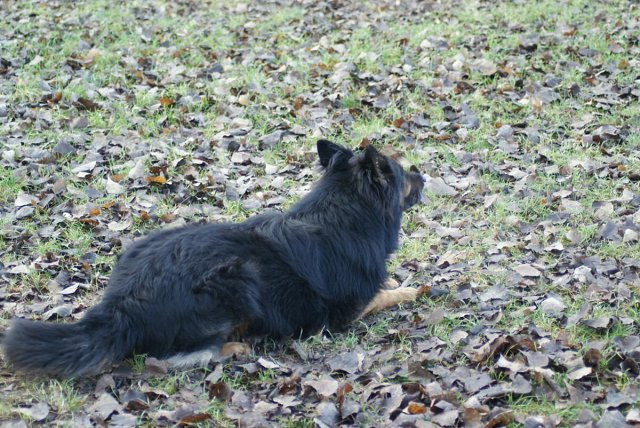 img00160.jpg