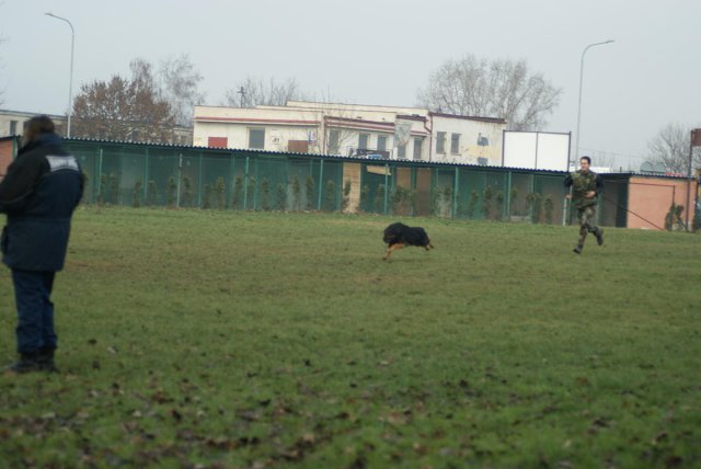 img00164.jpg