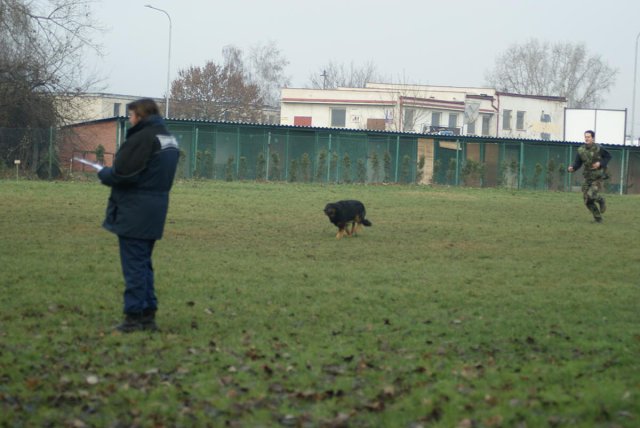 img00165.jpg