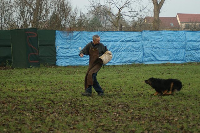 img00167.jpg