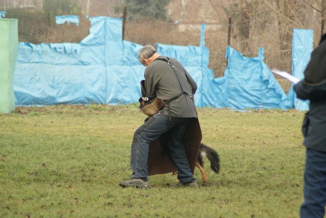 img00171.jpg