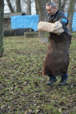 img00175.jpg