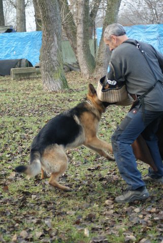 img00177.jpg