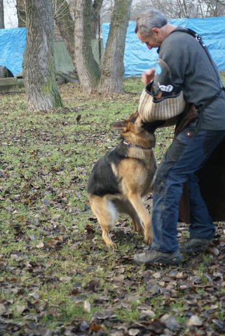 img00178.jpg