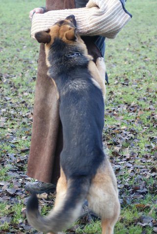 img00182.jpg