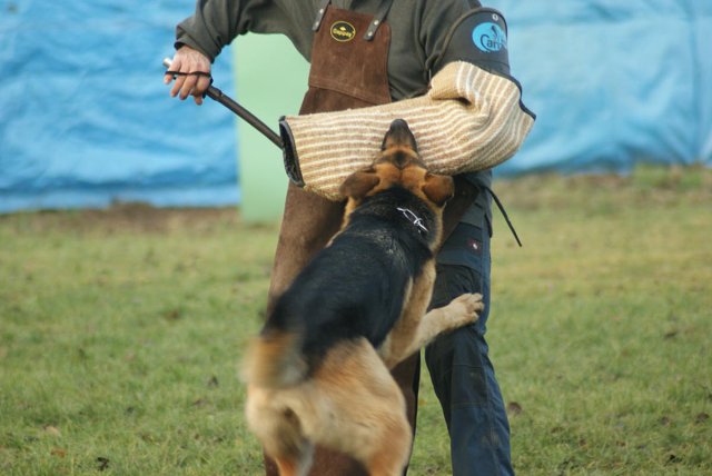 img00185.jpg