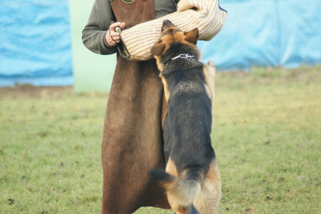 img00186.jpg