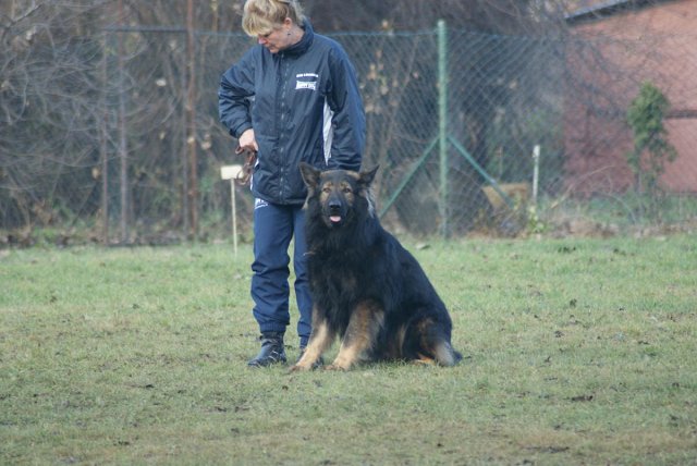 img00188.jpg