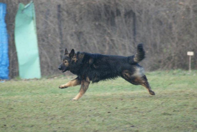 img00190.jpg
