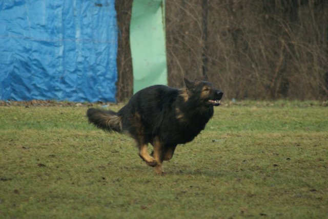 img00191.jpg