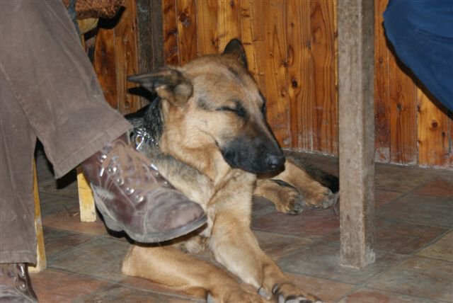 img00016.jpg