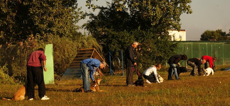 Kurz pro začátečníky - 26.9. a 3.10. 2009