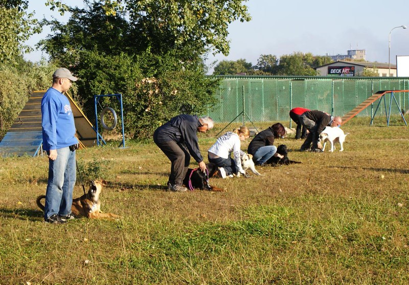 Kurz pro začátečníky - 26.9. a 3.10. 2009