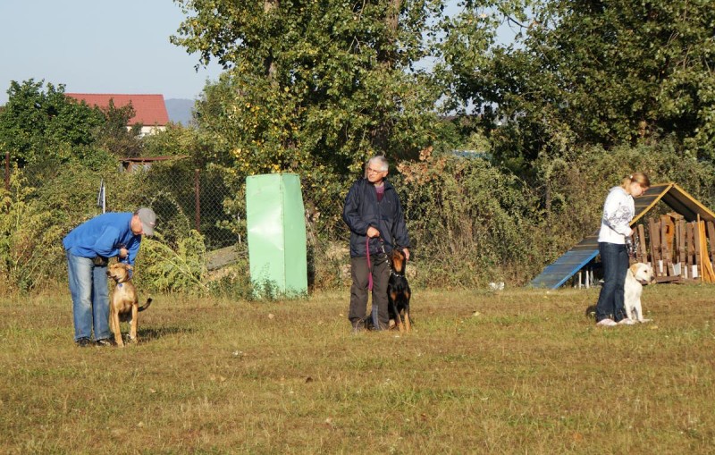 Kurz pro začátečníky - 26.9. a 3.10. 2009