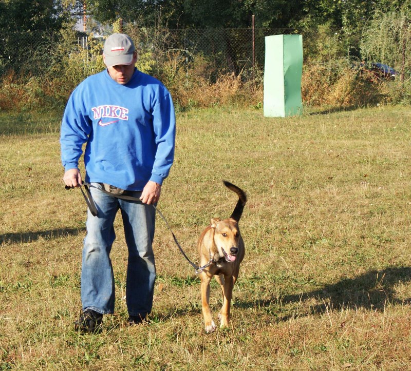 Kurz pro začátečníky - 26.9. a 3.10. 2009